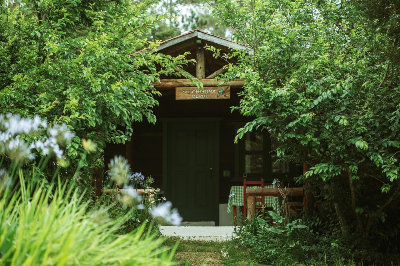 Villa Pajon Eco Lodge Constanza Εξωτερικό φωτογραφία
