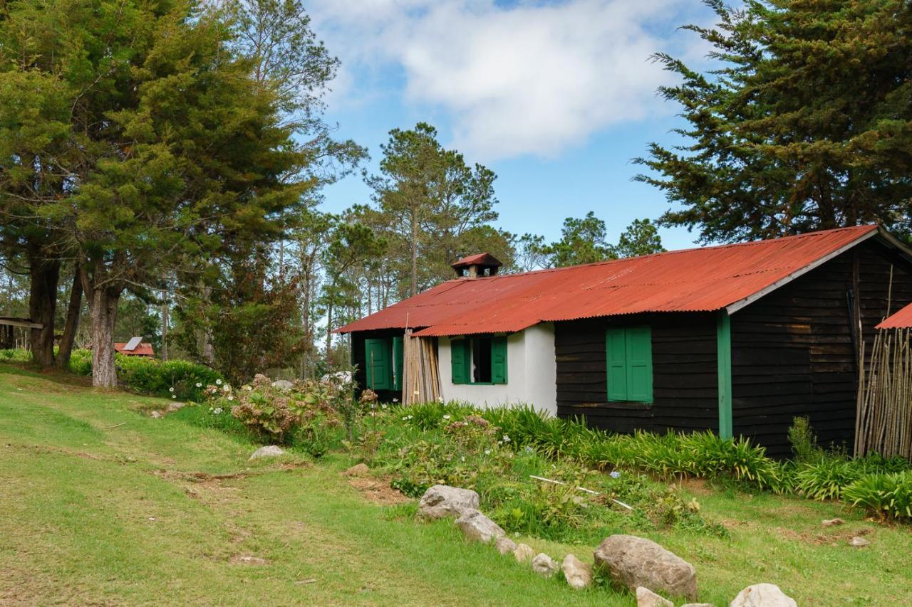 Villa Pajon Eco Lodge Constanza Εξωτερικό φωτογραφία