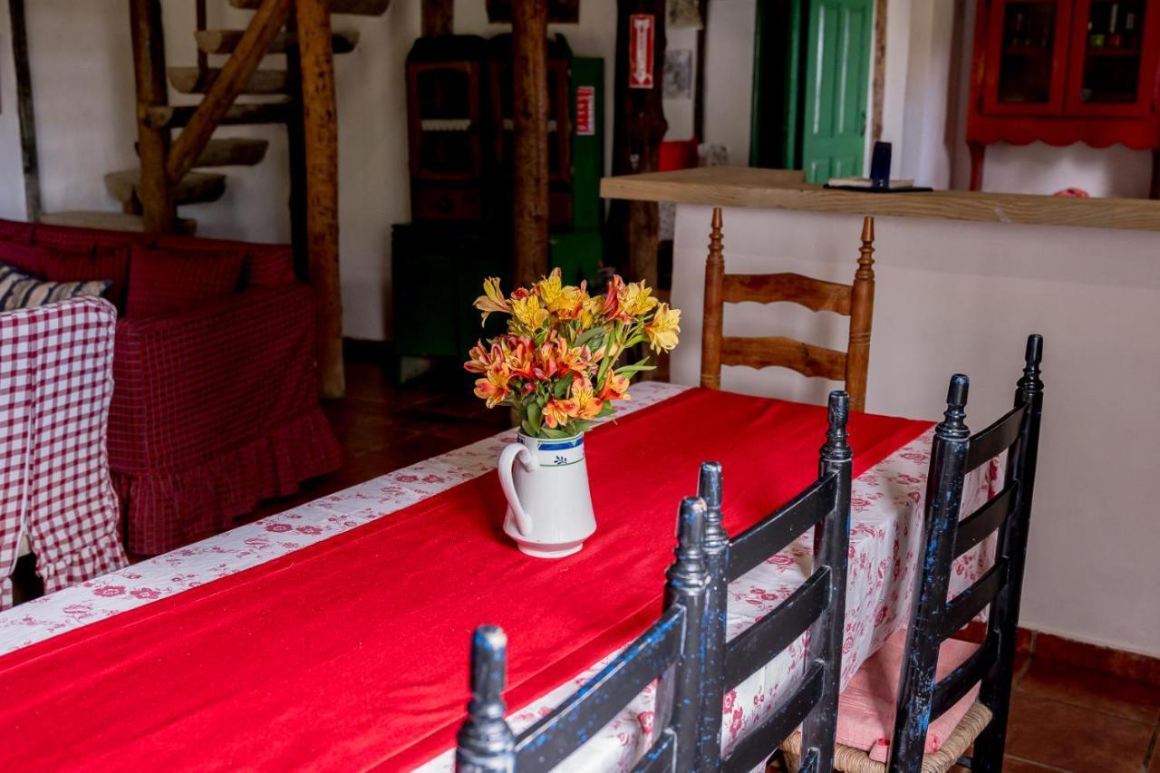 Villa Pajon Eco Lodge Constanza Εξωτερικό φωτογραφία