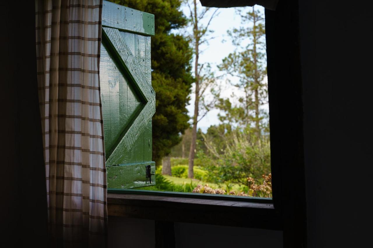 Villa Pajon Eco Lodge Constanza Εξωτερικό φωτογραφία