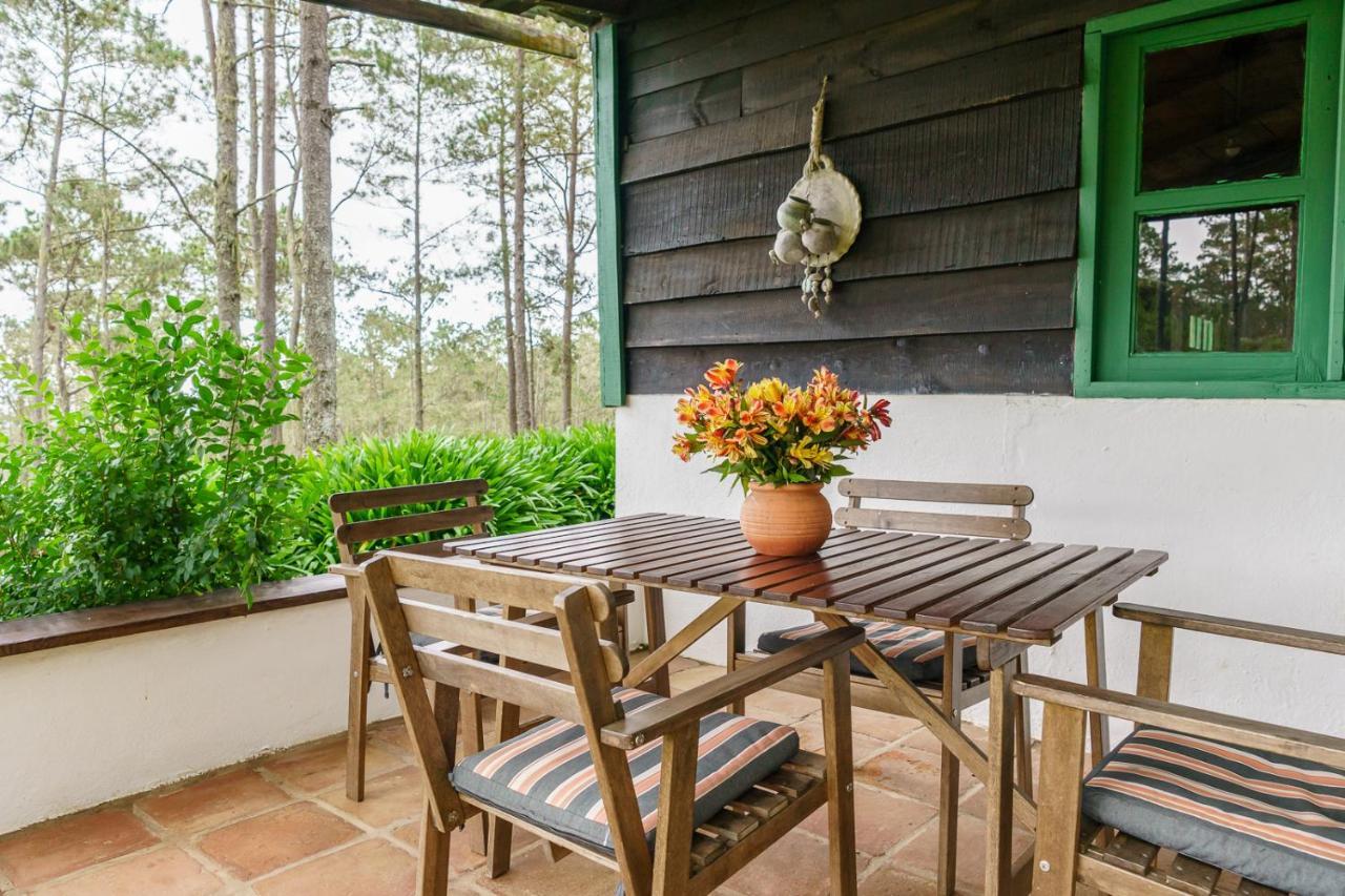 Villa Pajon Eco Lodge Constanza Εξωτερικό φωτογραφία